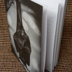 May include: A black and white notebook with a photo of a bat hanging upside down on the front cover.