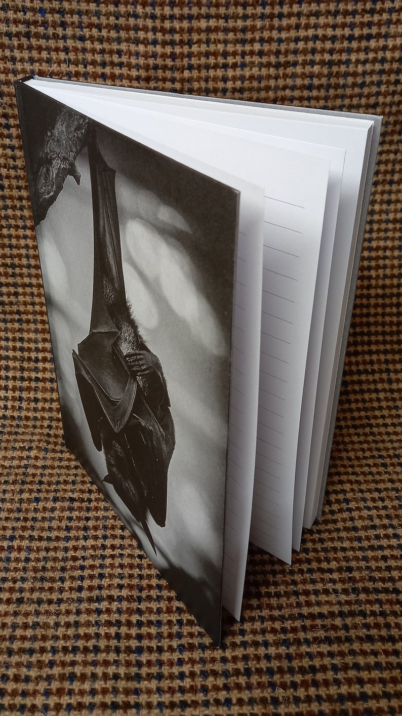 May include: A black and white notebook with a photo of a bat hanging upside down on the front cover.
