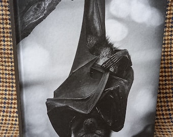 Può includere: Una fotografia in bianco e nero di un pipistrello appeso a testa in giù a un ramo. Il pipistrello è a fuoco, lo sfondo è sfocato.