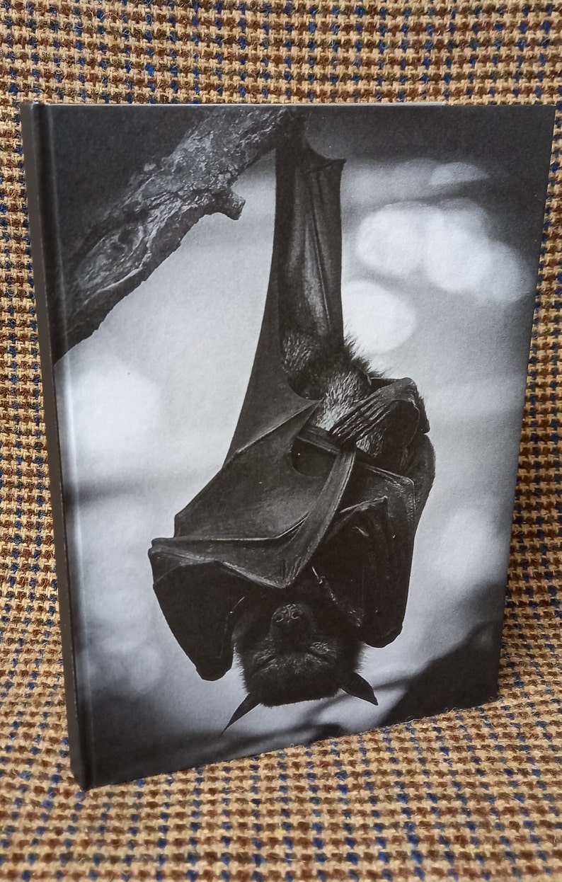 May include: A black and white photograph of a bat hanging upside down from a branch. The bat is in focus, and the background is blurred.