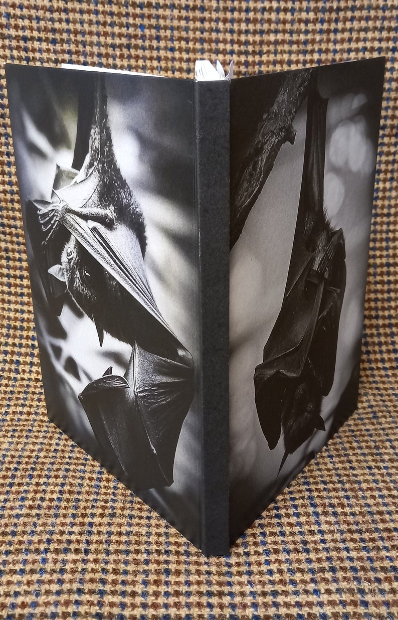 May include: A black and white photo of two bats hanging upside down. The photo is printed on the cover of a black journal.