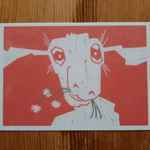Carte, set di carte capra, alpaca, alce e cavallo