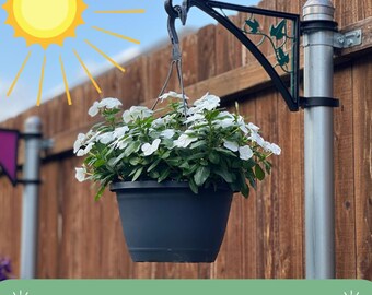 2 PCS Hangs EZ Fence Post Hangers With Ivy Inserts(plant Hanger, Garden  Hook) Fits 2 3/8" Diameter Posts - Great for Bird Feeders! - Etsy Israel