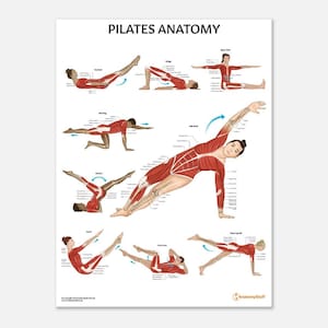 Póster de anatomía de Pilates