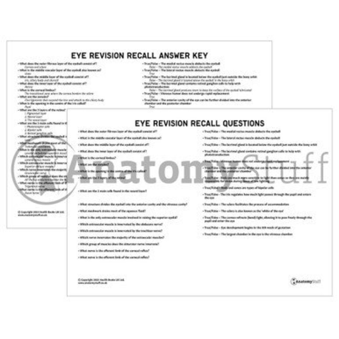 Eye Anatomy Revision Worksheets (interactive and Printable Pdfs) - Etsy