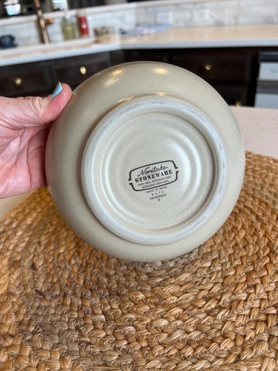 Vintage NORITAKE RAINDANCE Stoneware China Pattern, Augratin