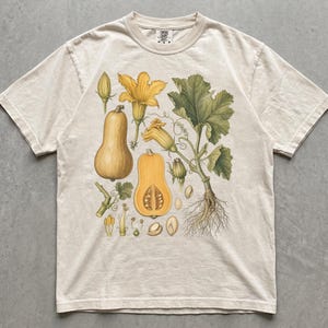 Puede incluir: Una camiseta de manga corta color crema con una ilustración botánica de una planta de calabaza tipo butternut. El gráfico muestra una calabaza entera, una mitad con semillas, flores amarillas, hojas verdes, raíces y semillas sueltas.
