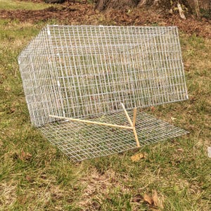 Puede incluir: Una trampa para animales rectangular de malla de alambre plateada, colocada sobre una superficie de hierba. La trampa tiene una puerta con bisagras y un mecanismo de disparo de madera. Diseñada para capturar animales pequeños.