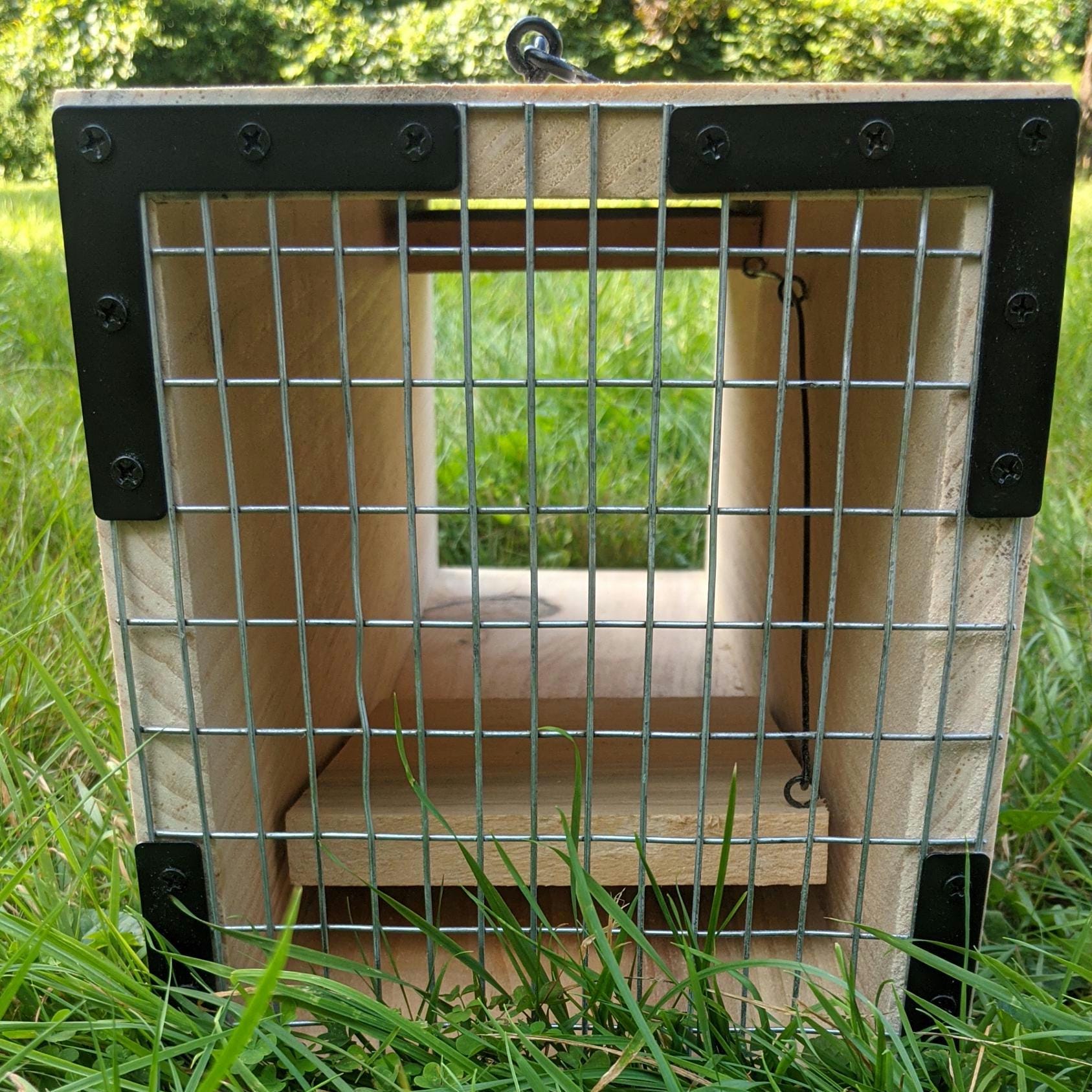 Box Rope Trap Humane Wooden Box Trap: Sensitive, Easy-set Design (8