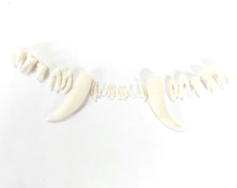 Limpieza y blanqueamiento de los dientes superiores de la zarigüeya