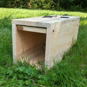 May include: A light-colored wooden box with a rectangular shape and a hinged lid. The box has a simple design with visible wood grain and is secured with black metal hardware. It is set on a bed of green grass.