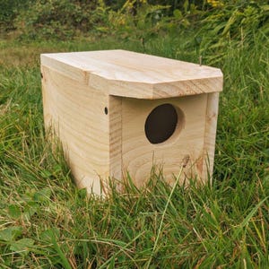 May include: A natural wood birdhouse with a circular entry hole. The rectangular birdhouse has a slanted roof and is set in a bed of green grass. The birdhouse is made of light-colored wood.