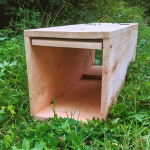May include: A wooden box trap, constructed from light-colored wood, is set in a grassy area. The trap has an open front, a small interior shelf, and a hinged top secured with wire and metal fasteners. The box is designed to catch small animals.