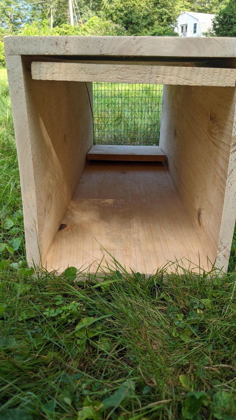 Humane Wooden Box Trap: Sensitive, Easy-set Design (12