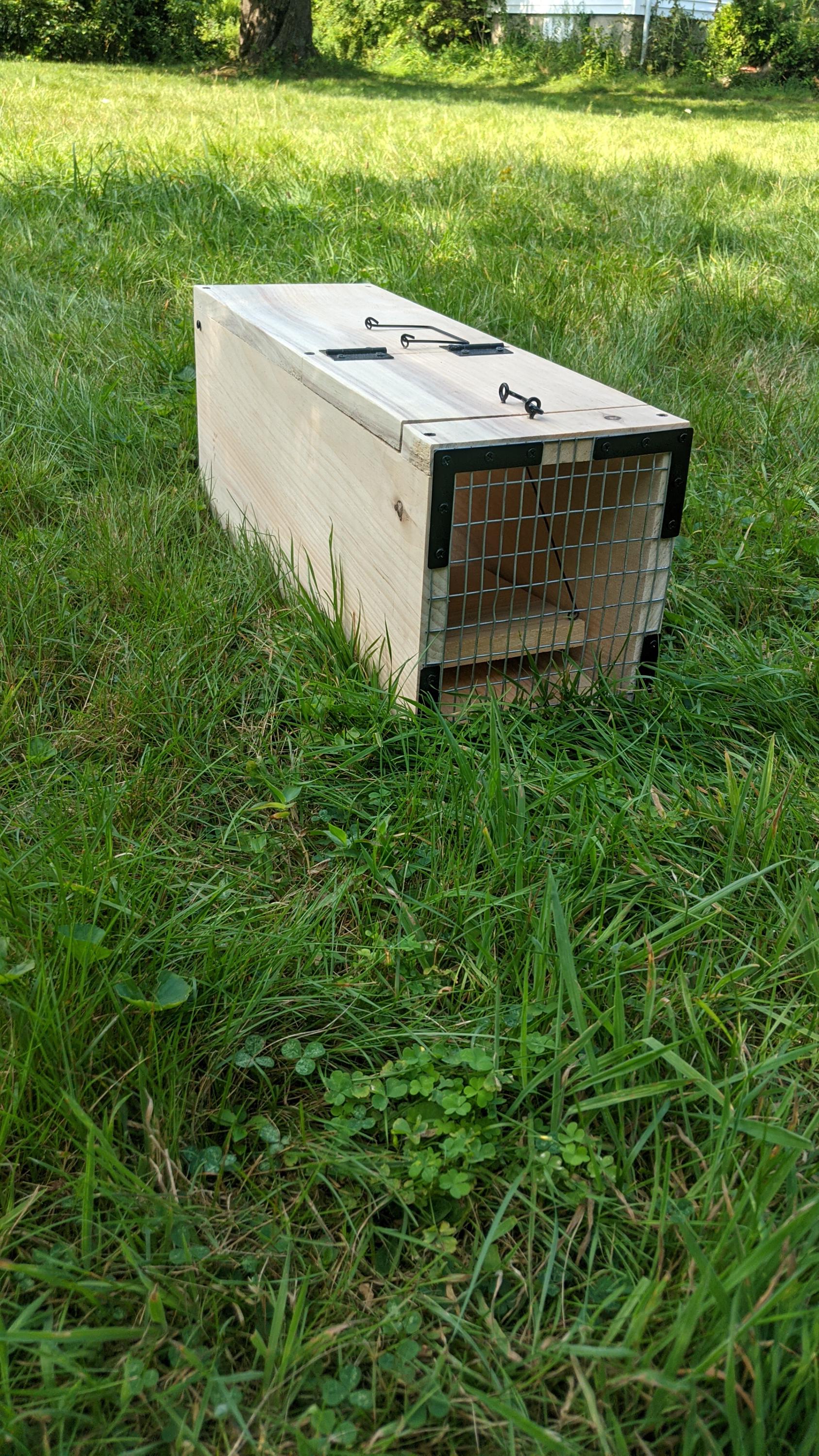 Humane Wooden Box Trap: Sensitive, Easy-set Design (8