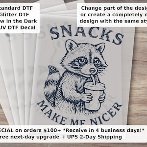 Snacks Make Me Nice Funny Raccoon DTF Transfer Ready to Press Sarcastic Animal Quote Cute Raccoon Shirt Transfer