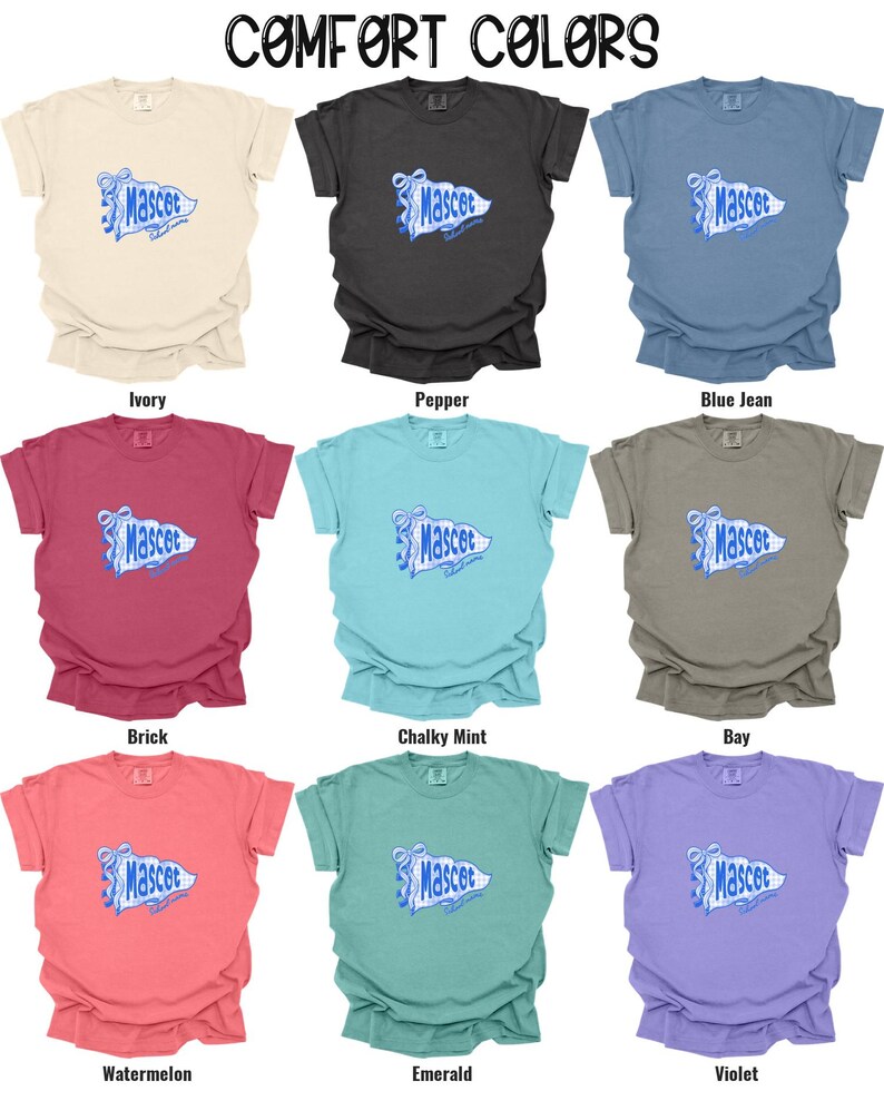 Custom Mascot Gingham Banner DTF Transfer | Coquette School Spirit Varsity Ready to Press image 3