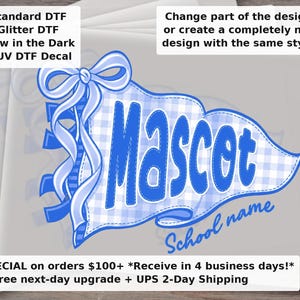 Custom Mascot Gingham Banner DTF Transfer | Coquette School Spirit Varsity Ready to Press image 1