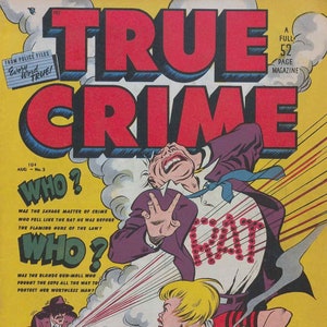 27 Ausgaben Classic TV & True Crime Comics Bundle: Sunset Strip, Adam 12, and True Crime Tales, Sofort Download Bild 1