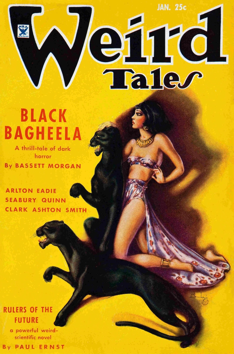 234 numéros de Weird Tales Comics, bandes dessinées classiques, vintage, livre classique pour enfants, téléchargement numérique image 9