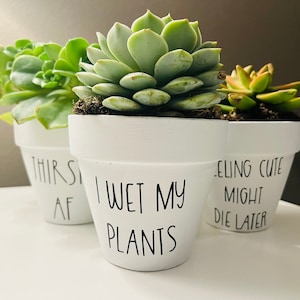 Funny Flower Pots, Funny Succulent Pots, Succulent Pots, Handpainted Terracotta Pots, Funny Planters