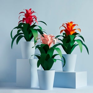 Bromeliad Paper Craft Plant DIY Downloadable Template