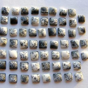 May include: A collection of 49 square-shaped dendritic opal cabochons. The cabochons are a mix of white and black with a dendritic pattern.
