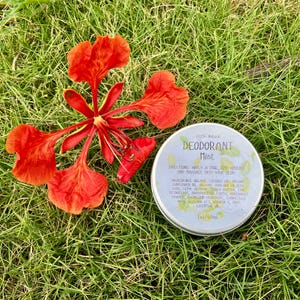 May include: A silver deodorant tin with the word "Mint" on the label, alongside a bright red flower on green grass. The label also includes the text "100% Natural" and ingredient information. The tin is approximately 6 cm in diameter.