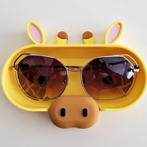 Eyeglass holder