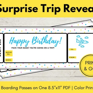 Birthday Surprise Trip Printable Boarding Pass, Surprise Trip Announcement, Travel Gift Certificate Voucher, Vacation Surprise Reveal