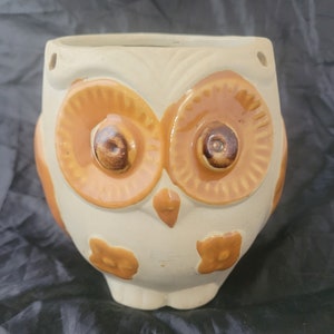 May include: A ceramic owl planter with a white base and brown accents. The owl has large, round eyes and a small beak. There are small flower designs on the owl's body.