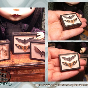 Printable miniature 1:6 two Bats shadow box. Digital download. Miniature for doll houses, Easy free tutorial, for Blythe Barbie Pullip..