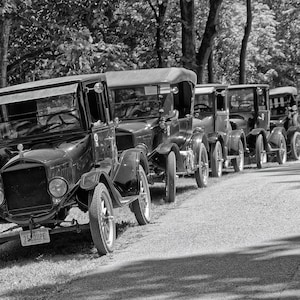 Könnte beinhalten: Eine Reihe von schwarzen Oldtimer-Ford Model T, die in einem Waldgebiet geparkt sind. Die Autos sind alle in gutem Zustand und haben ein klassisches Aussehen.