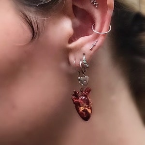 Anatomical heart earrings handmade clay earrings