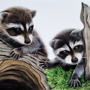 Banditi dispettosi. Adorabile dipinto originale ad acquerello di cuccioli di procioni. Dimensioni A4 8,3x11,7 pollici