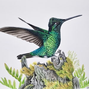 Wings Of Wonder. Stupendo dipinto ad acquerello di un colibrì. Opera d'arte unica nel suo genere. Regalo ideale per gli amanti degli uccelli e gli amanti della natura