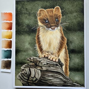 May include: Watercolour painting of a weasel perched on a weathered log. The weasel has brown fur with a cream-coloured chest and a dark brown head. The background is a mottled green, and a colour palette is visible on the left.