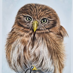 Owl Beauty in Watercolours Original Painting, Nature-inspired Wall Decor, Owl Art, size A5 5.8x8.3 inches