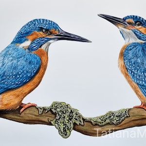 Einzelstück Majestätischer Eisvogel Original Aquarellmalerei. Wunderschön detailliert und farbenprächtig. Vogel Illustration.