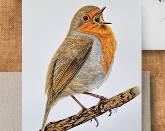 Exquisite Watercolour Portrait of a Robin. Hand-Painted with Stunning Detail and Vibrant Colours. British birds. Birds Illustration.