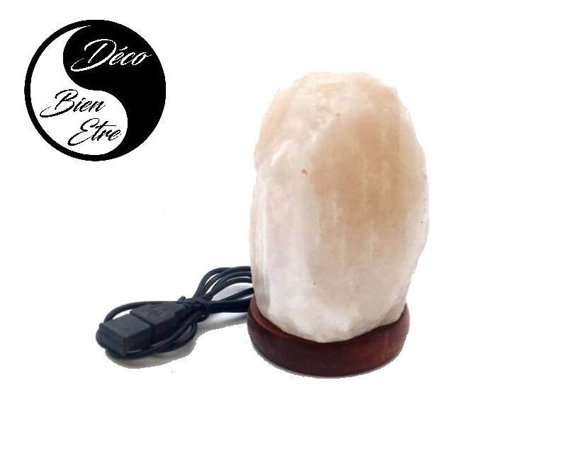 Lampe de Sel Bureau | ou Chevet +/ - 700Gr sur Socle en Bois Forme Rocher