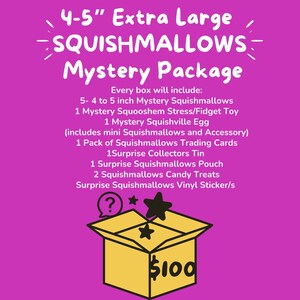 May include: A pink background with a yellow box that says "$100" inside. The box is open and has a question mark and stars inside. The text above the box says "4-5" Extra Large Squishmallows Mystery Package" and lists the contents of the package.