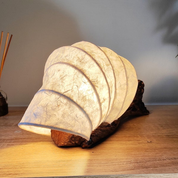 Lampe en bois flotté artisanale fait main en forme de cocon