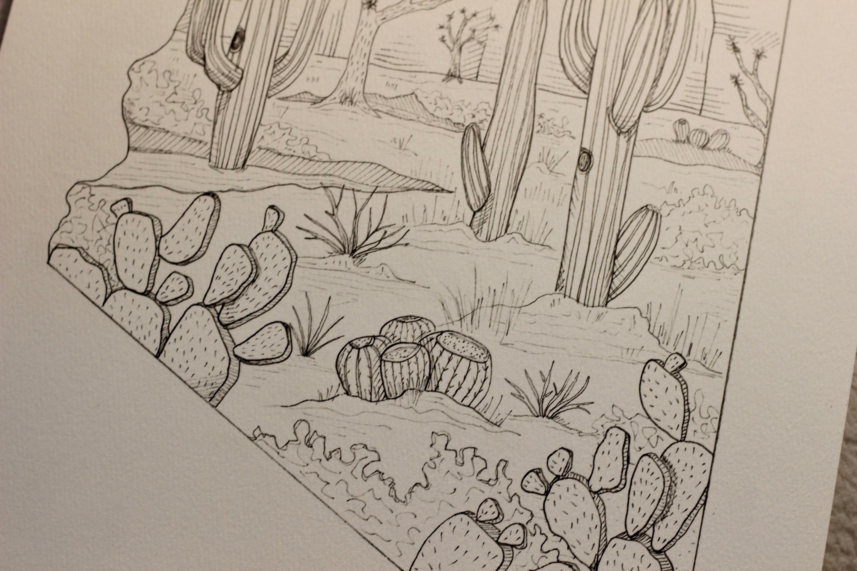 Arizona Desert Drawing - Etsy