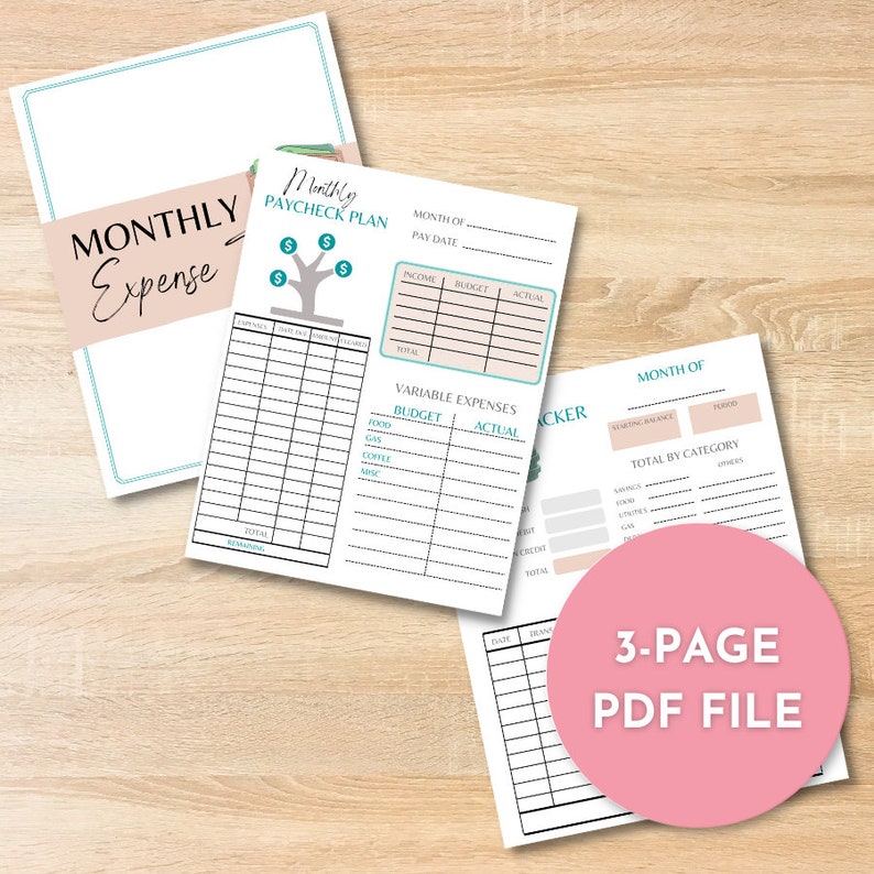 Fillable Monthly Expense Tracker Printable Expense Tracker iPad Monthly