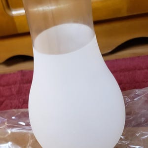 Vintage Replacement Frosted Hurricane Globe