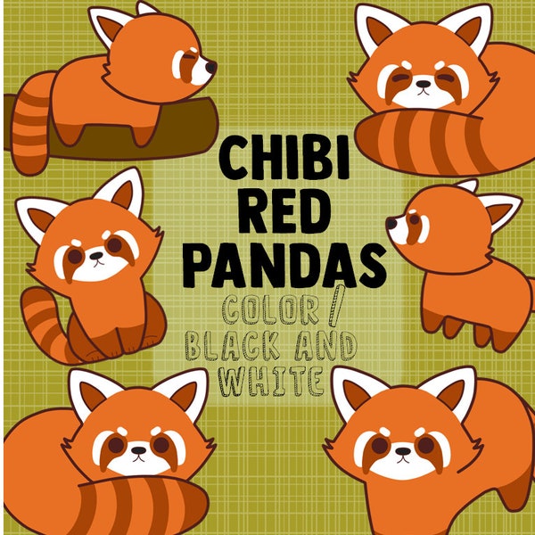 Chibi Red Panda Clipart - PNG/SVG - 300 dpi