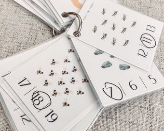 Nature Counting Flashcards - Preschool Number Card Activity - Mini Homeschool Lesson Printable Activity - Toddler Counting Practice
