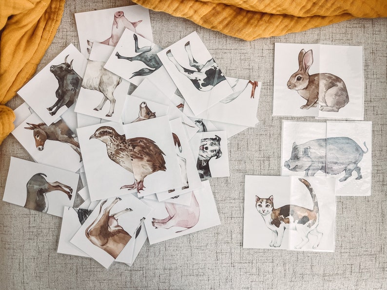 Farm animal matching flashcards. Set of 20 farm animal learning cards. Children farm matching game. Educational learning for preschool.