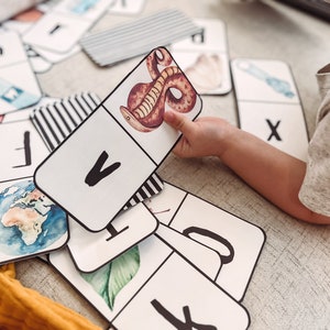 Pu&ograve; includere: Una mano di bambino tiene una carta bianca con una lettera V nera e un'immagine di un serpente marrone. La carta fa parte di un set di carte flash dell'alfabeto con varie illustrazioni.